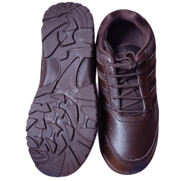 Brown DAV School shoes